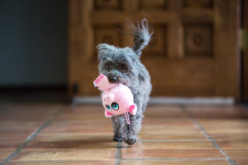 Multipet Knobby Noggins Fox Dog Toy - Image 2